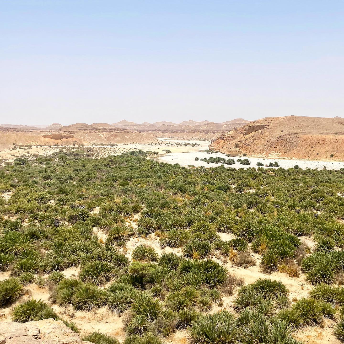 Al momento stai visualizzando La prima missione sul campo nel Wadi Andhur